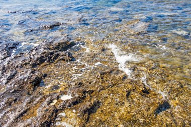 Yaz mevsiminde arka planda deniz manzarası
