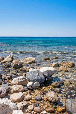 Yaz mevsiminde arka planda deniz manzarası