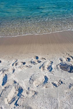 Yaz mevsiminde arka planda deniz manzarası