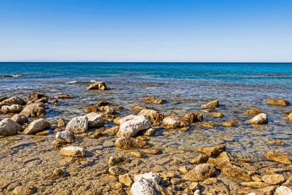 Yaz mevsiminde arka planda deniz manzarası