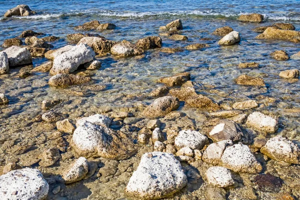 Yaz mevsiminde arka planda deniz manzarası