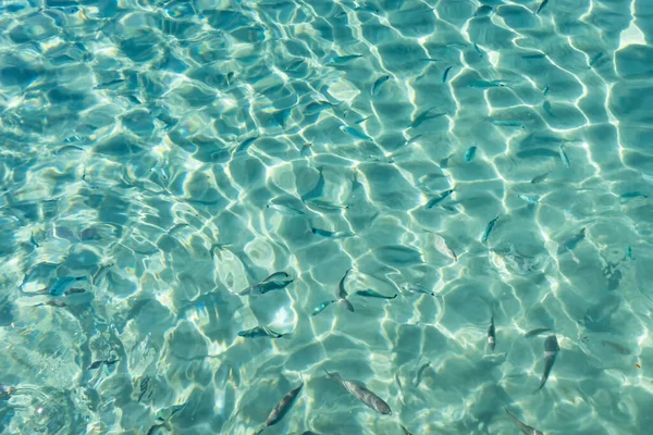 Yaz mevsiminde arka planda deniz manzarası