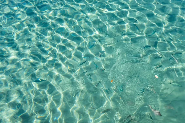 Yaz mevsiminde arka planda deniz manzarası