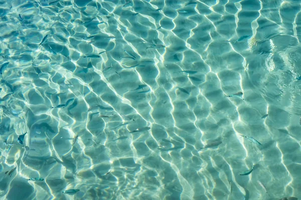 Yaz mevsiminde arka planda deniz manzarası