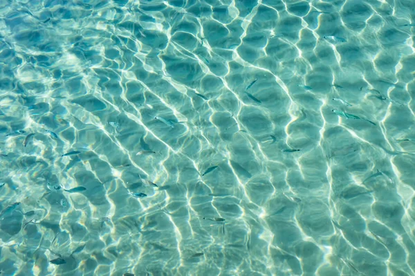 Yaz mevsiminde arka planda deniz manzarası