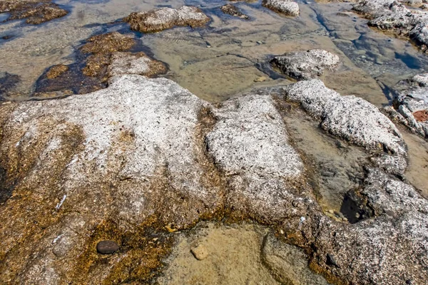 Yaz mevsiminde arka planda deniz manzarası