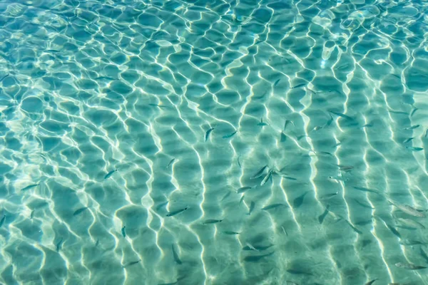 Yaz mevsiminde arka planda deniz manzarası