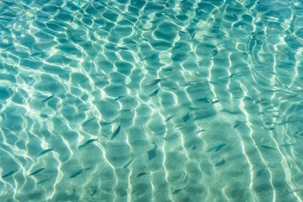 Yaz mevsiminde arka planda deniz manzarası