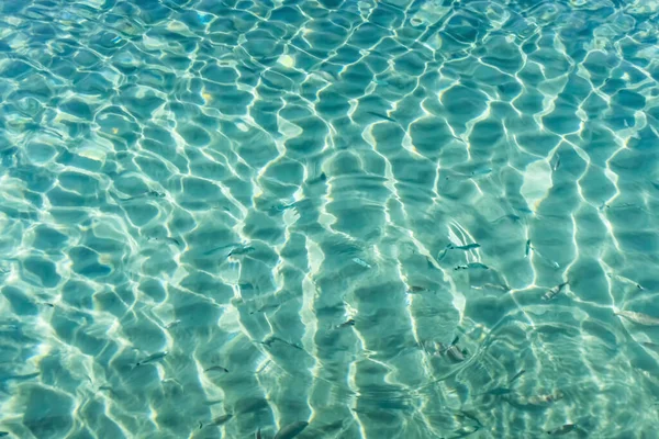 夏は海岸からの海の景色を背景に — ストック写真