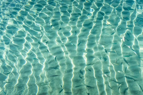 夏は海岸からの海の景色を背景に — ストック写真