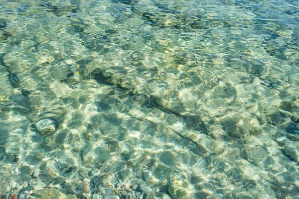 Yaz Mevsiminde Arka Planda Deniz Manzarası — Stok fotoğraf