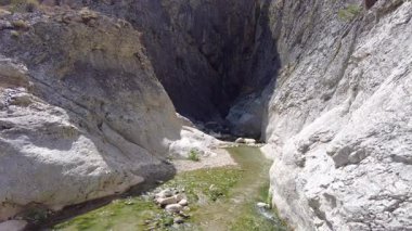 Sığ Suyu ve Kayalık Duvarları olan Canyon Creek. Güneşli bir günde sakin, sığ bir derenin manzaralı kayalık bir kanyonda aktığı sakin bir manzara.. 