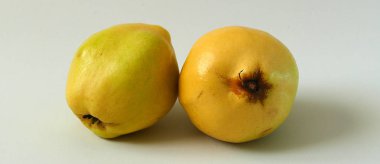 Beyaz arka plan üzerinde taze doğal ayva meyve