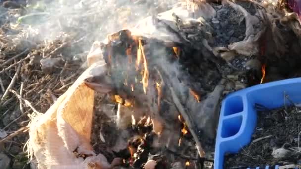 Bruciare Rifiuti Plastica Ambiente Naturale Inquinamento Ambientale — Video Stock