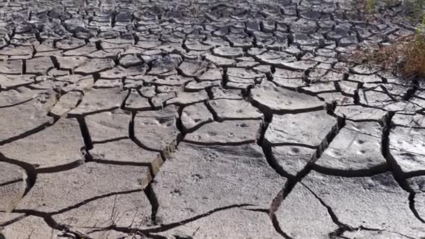 Sequía Sed Agua Potable Está Disminuyendo Calentamiento Global — Vídeos de Stock