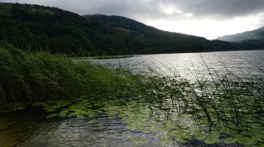 Abant Gölü, Abant doğal gölü ve Bolu hindi.,