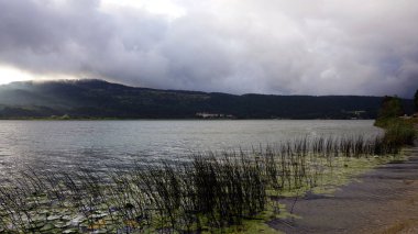 Abant Gölü, Abant doğal gölü ve Bolu hindi.,