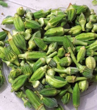 Bamya temizliği taze bamya yemeği hazırlamak için.,