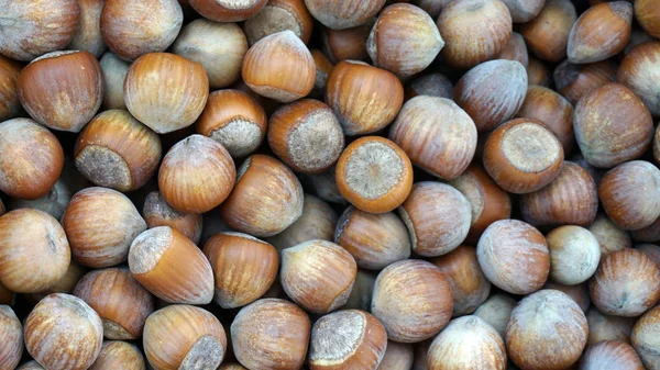 Velké Množství Sušených Ořechů Přírodních Čerstvých Ořechů — Stock fotografie