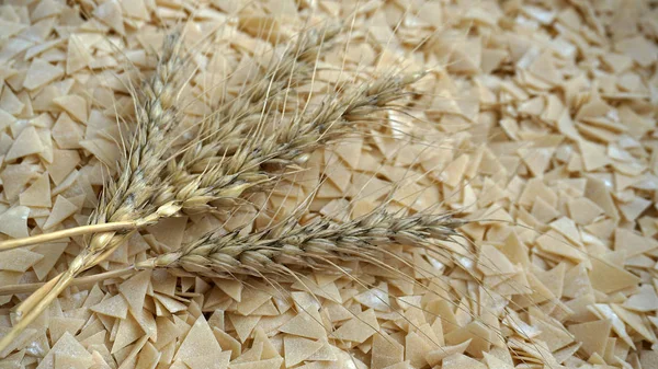 面包制品和小麦穗 手工面条和小麦穗 — 图库照片