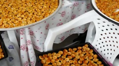 Güneşte kayısıları kurutmak, ıslak kayısıları kurutmak, dilimlenmiş taze kayısıları kurutmak..