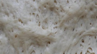 sağlıklı ev yapımı hamur mayası, mayalanmış hamur.,