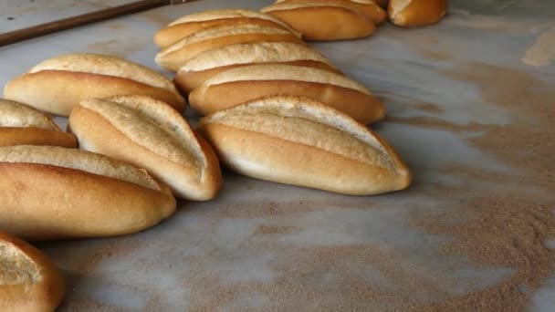 Φρεσκοψημένο Ψωμί Από Παραδοσιακό Ξυλόφουρνο Ψημένο Ψωμί Που Βγαίνει Από — Αρχείο Βίντεο