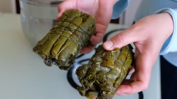 Feuilles Farcies Feuilles Farcies Congelées Pour Cuisson Congélateur — Video