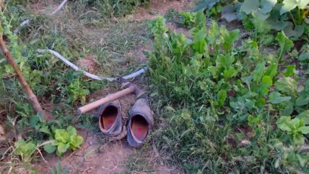 Vecchie Scarpe Fangose Zappa Giardino Nel Giardino Hobby — Video Stock