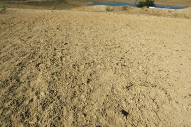 Topraktaki toprak türleri, sarı toprak türü.