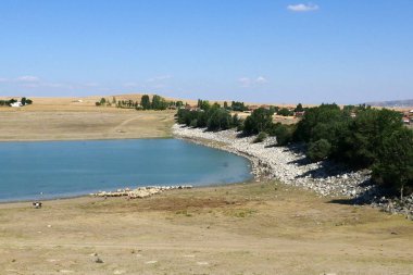 Bir koyun sürüsü, su içmek için suya koşan bir koyun sürüsü.,