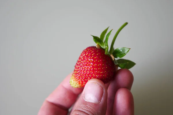 benefit of strawberry fruit for human health, The introduction of strawberry fruit close-up,