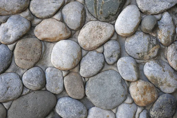 Ландшафтне Дослідження Грубої Морської Гальки Декоративні Приклади Дослідження Каменів Гальки — стокове фото