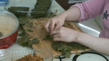 Doldurulmuş üzüm yaprakları, ev yapımı doldurulmuş yapraklar, doldurulmuş üzüm yapraklarını hazırlayan bir ev hanımı.,