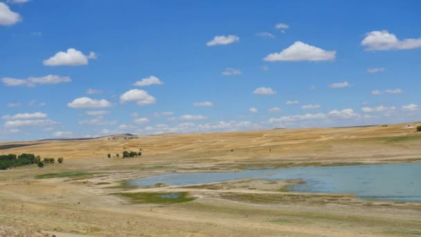 Calentamiento Global Causado Sequía Agotamiento Del Agua — Vídeo de stock