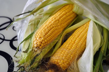 taze çiğ mısır, taze yumuşak lezzetli mısır,