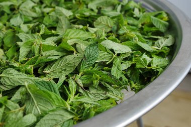 Evde nane kurutmak, taze nane kurutmak.,