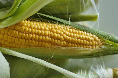 taze çiğ mısır, taze yumuşak lezzetli mısır, doğal aromalı mısır.,