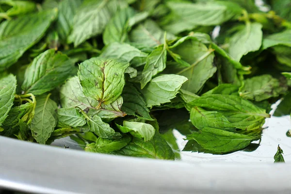 Pengeringan Mint Pengeringan Matahari Segar Mint Membuat Mint Kering Pengeringan — Stok Foto