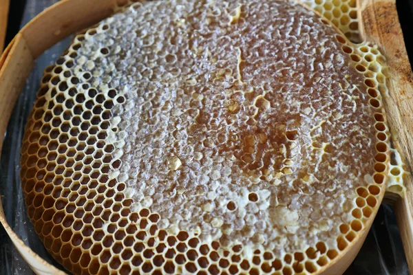 Balın insan beslenmesinde önemi, bal peteğinde taze bal,