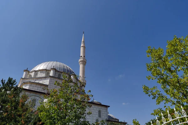 Blauwe Koepels Minaretten Moskeeën Kalkoen Bomen Minaret Van Een Moskee — Stockfoto
