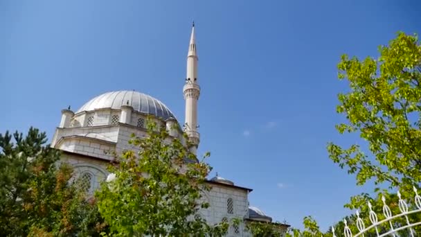 Blå Kupler Minareter Moskeer Kalkun Trær Minareter Moskeen – stockvideo