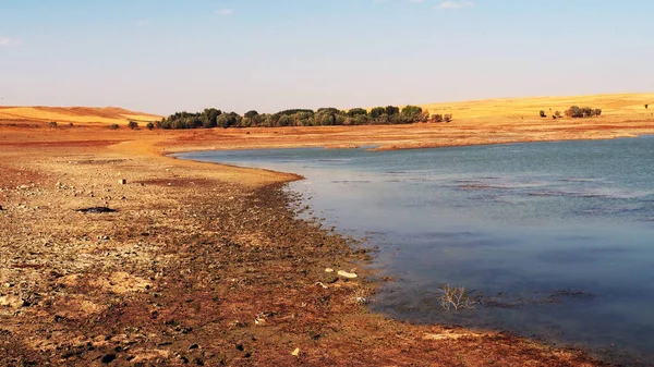 Sequía Clima Continental Disminución Los Niveles Agua Consecuencias Del Calentamiento —  Fotos de Stock