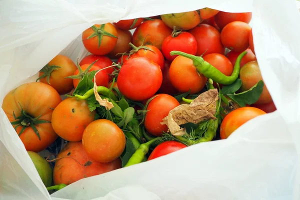 Una Bolsa Llena Tomates Naturales Tomates Recién Recogidos Pimientos Del — Foto de Stock
