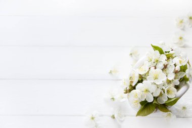 Beyaz bahar çiçekleri, kiraz çiçekleri, beyaz çiçekler, beyaz ahşap tahta, bahar şablonu, Anneler Günü için boş kart, kadınlar günü, 8 Mart, doğum günü, Paskalya, bahar kartı, düğün davetiyesi, davetiye, reklam ürünleri