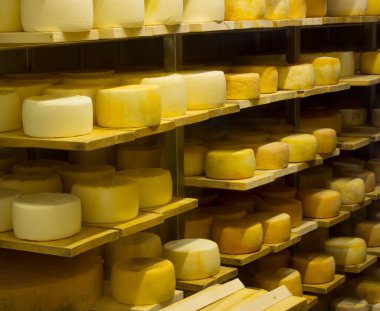 Peynir kafalar. Peynir çiftliğindeki bir depoda ürünler. .