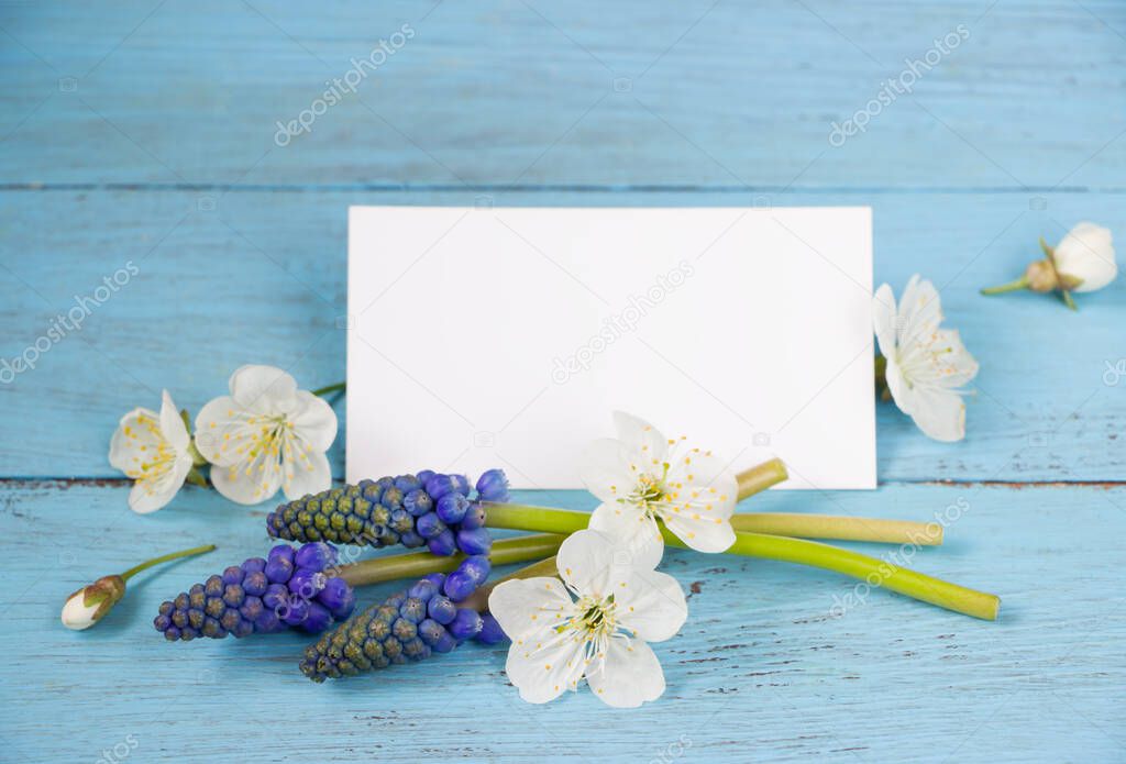 Spring template-spring flowers and empty card, blue wooden board.Creative layout for greeting cards mother's day, 8 march, women's day, easter, wedding, birthday