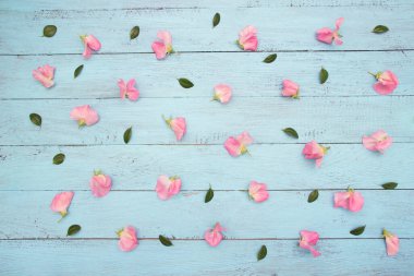 Mavi tahta üzerinde pembe gül yaprakları ve yeşil yapraklardan oluşan çiçek deseni