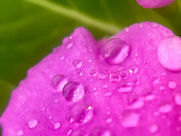  İzindeyken su damlası