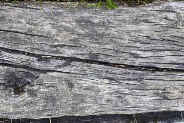 Oude Houten Plank Bestuur Textuur Achtergrond — Stockfoto